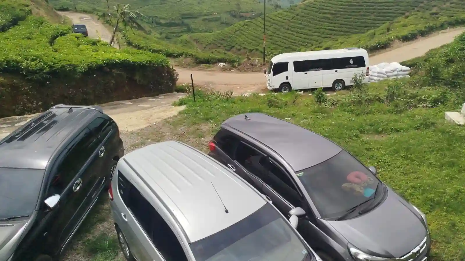 TikTok Bumina EENK 1